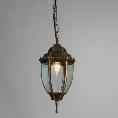 Уличный подвесной светильник Arte Lamp Pegasus A3151SO-1BN  фото 2