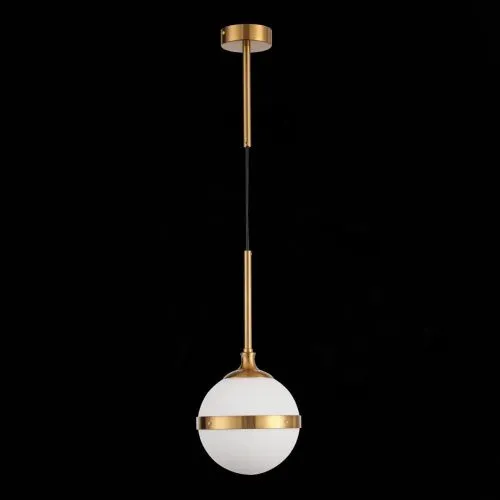 Подвесной светильник ST Luce Arbe SL1157.303.01  фото 4