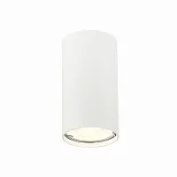 Потолочный светильник ST Luce ST110.507.01 