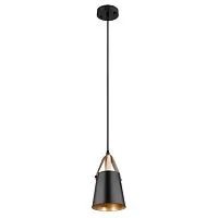 Подвесной светильник Arte Lamp THOMAS A7032SP-1BK 