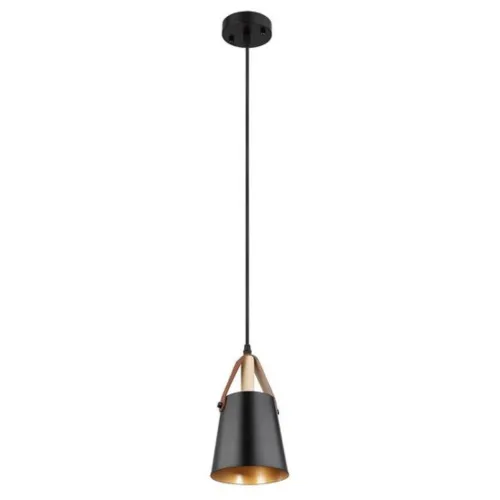 Подвесной светильник Arte Lamp THOMAS A7032SP-1BK 