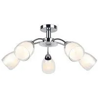 Потолочная люстра Arte Lamp 53 A7201PL-5CC 