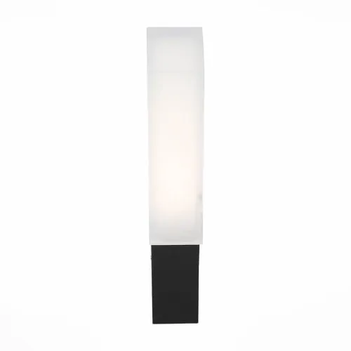 Уличный настенный светодиодный светильник ST Luce Posto SL096.411.02  фото 2