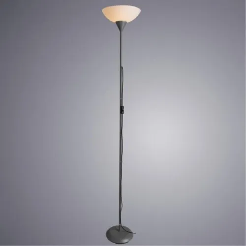 Торшер Arte Lamp Duetto A9569PN-1SI  фото 2