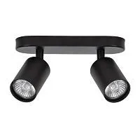 Спот Arte Lamp Aquarius A3226PL-2BK 