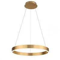 Подвесной светодиодный светильник ST Luce Onze SL944.203.01 