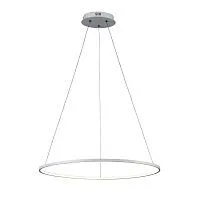 Подвесной светодиодный светильник ST Luce Erto SL904.513.01 