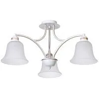 Потолочная люстра Arte Lamp Emma A2713PL-3WG 