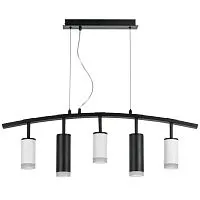 Подвесная люстра Lightstar Rullo (571735+214436-3+214487-2+202430-5) LR7353638720 