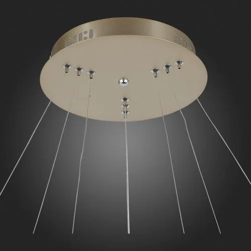 Подвесная светодиодная люстра ST Luce Erto SL904.203.03  фото 2