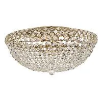 Потолочный светильник Arti Lampadari Asti E 1.2.50.100 G 