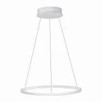 Подвесной светодиодный светильник ST Luce ST604.543.22 