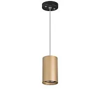 Подвесной светильник Lightstar Rullo (214440+590057) RP440 
