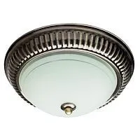 Потолочный светильник Arte Lamp 28 A3016PL-2AB 