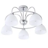 Потолочная люстра Arte Lamp A6057PL-5CC 