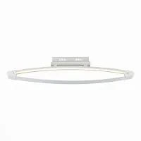 Потолочный светодиодный светильник ST Luce SL920.102.01 