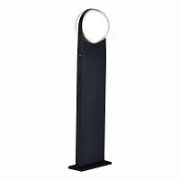Уличный светодиодный светильник ST Luce Celeste SL9510.405.01 