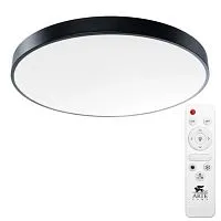 Потолочный светодиодный светильник Arte Lamp Arena A2673PL-1BK 