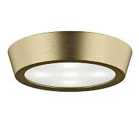 Потолочный светильник Lightstar Urbano Mini LED 214714 