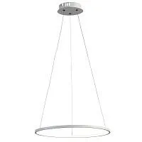 Подвесной светодиодный светильник ST Luce Erto SL904.503.01 