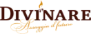 Divinare