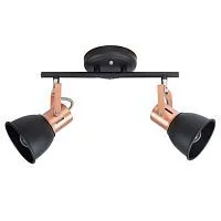 Спот Arte Lamp A1677PL-2BK 