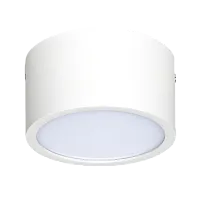 Потолочный светодиодный светильник Lightstar Zolla 213916 