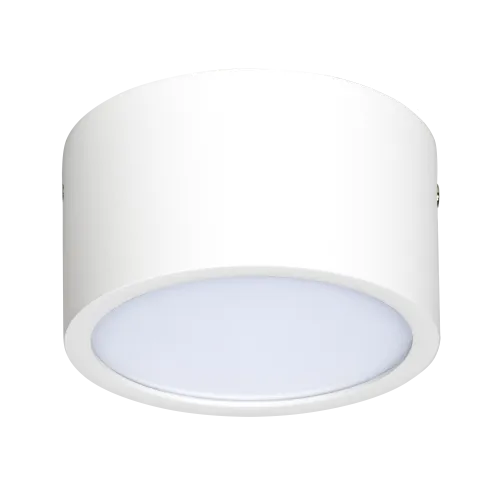 Потолочный светодиодный светильник Lightstar Zolla 213916 