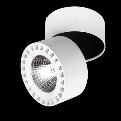 Потолочный светодиодный светильник Lightstar Forte 381363  фото 2