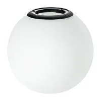 Плафон с черным металлическим кольцом Lightstar Teta 595110 