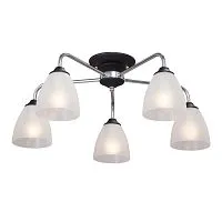 Потолочная люстра Vitaluce V3946-1/5PL 
