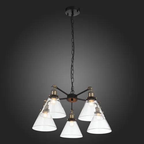 Подвесная люстра ST Luce Evoluto SL237.413.05  фото 3