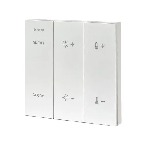 Панель управления ДУ ST Luce Skyline ST015.500.99 