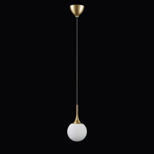 Подвесной светильник Lightstar Globo 813012  фото 2