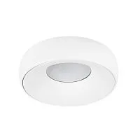 Потолочный светильник Arte Lamp Heze A6665PL-1WH 