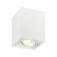 Потолочный светильник ST Luce ST109.507.01 