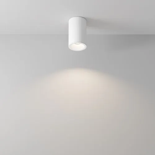 Потолочный светильник Maytoni Technical Zoom C029CL-01-S-W  фото 4