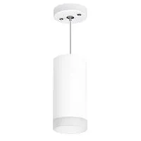 Подвесной светильник Lightstar Rullo (216486+590086+202480) RP648680 