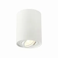 Потолочный светильник ST Luce ST108.517.01 