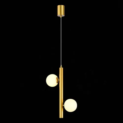Подвесная люстра ST Luce Asolo SL1185.203.02  фото 3
