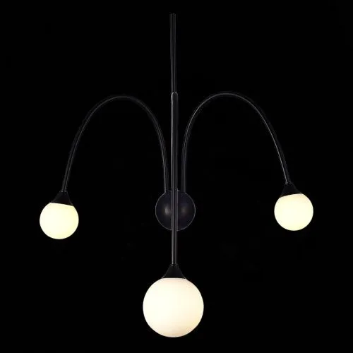 Настенный светильник ST Luce Vive SL1187.401.03  фото 3