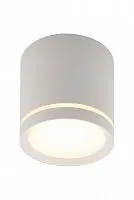 Накладной светодиодный светильник Denkirs DK4016-WH 