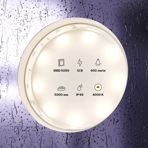 Светодиодная влагозащищенная лента Maytoni Technical 7,2W/m 30LED/m 5050SMD дневной белый 5M 10124  фото 3