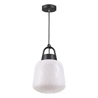 Ландшафтный подвес SONEX Conte 370601 пластик pe черный 