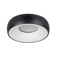 Потолочный светильник Arte Lamp Heze A6665PL-1BK 