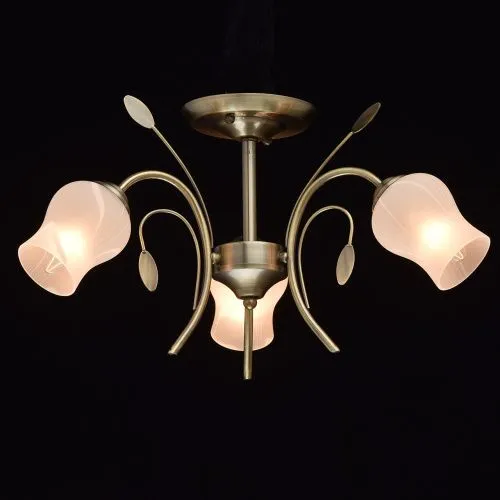Потолочная люстра MW-Light Флора 256018103  фото 2