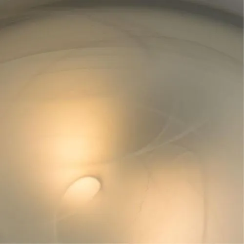 Потолочный светильник Arte Lamp Luna A3440PL-2CC  фото 3
