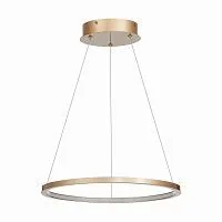 Подвесной светодиодный светильник ST Luce ST603.243.22 