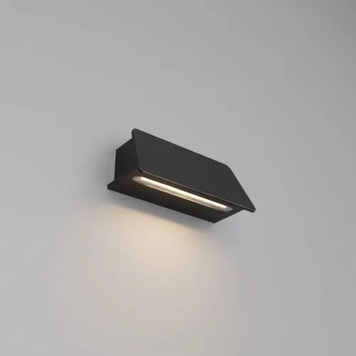 Настенный светильник (бра) Outdoor O429WL-L6GF3K  фото 3