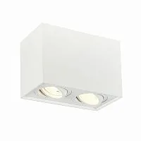 Потолочный светильник ST Luce ST109.507.02 